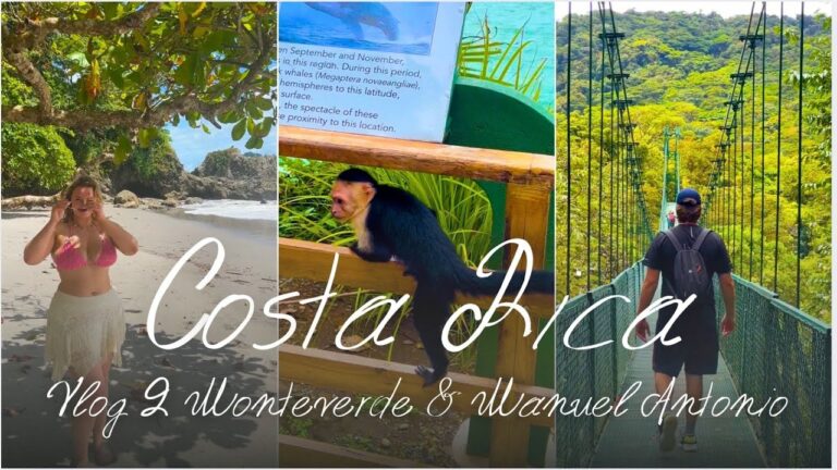 Monteverde & Manuel Antonio Costa Rica Vlog 🇨🇷 Cloud Forest, Beaches, Waterfalls & Our Engagement!